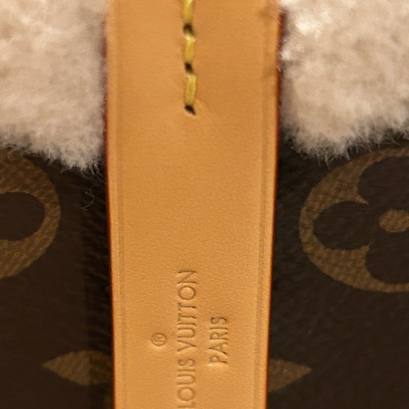 NWT Louis Vuitton Cozy Gram NeoNoe BB - Picture 10 of 13